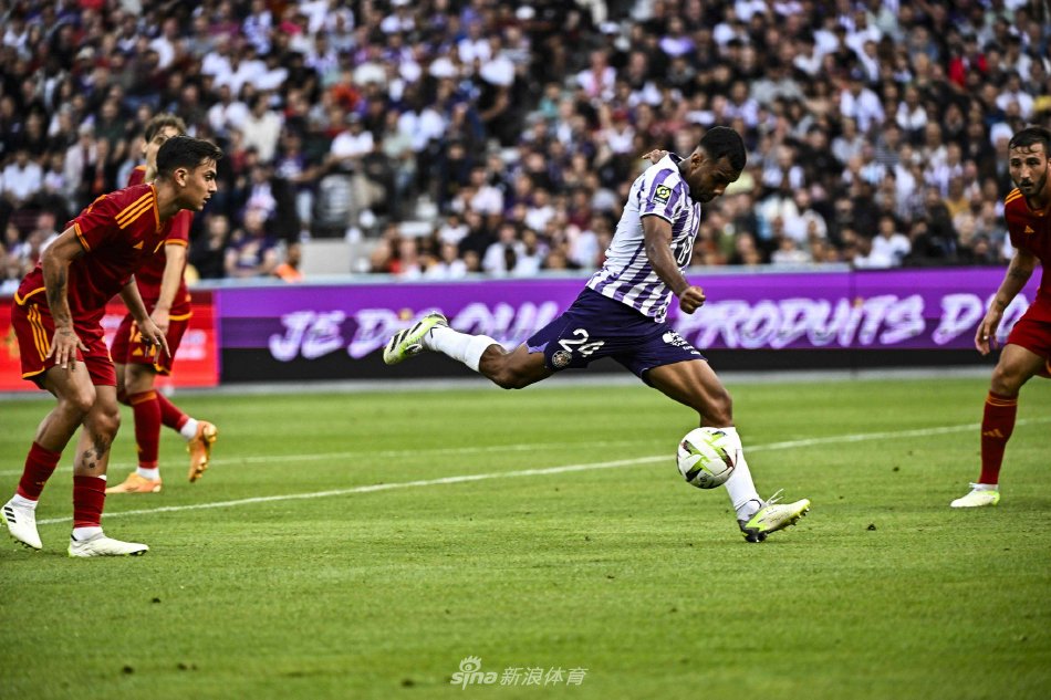 哈维的出现 哈维的出现