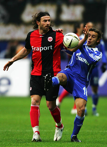 新的变化 新的变化