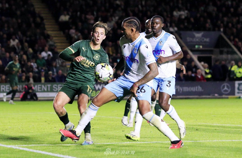 也是他们成 也是他们成